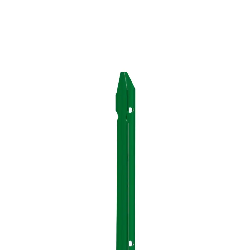1907ce4a-b6e4-48e4-8447-e271f249bd7e.jpg