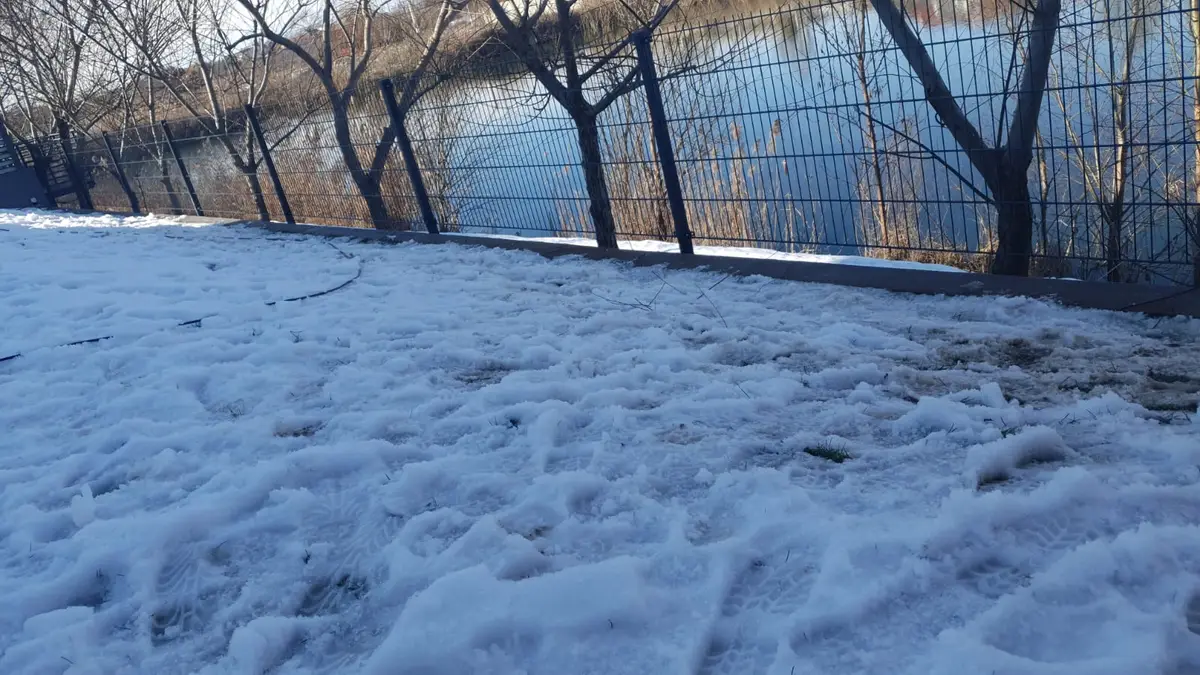 69aa7e2a-0841-4710-b6cb-06a3870b9db5.jpeg