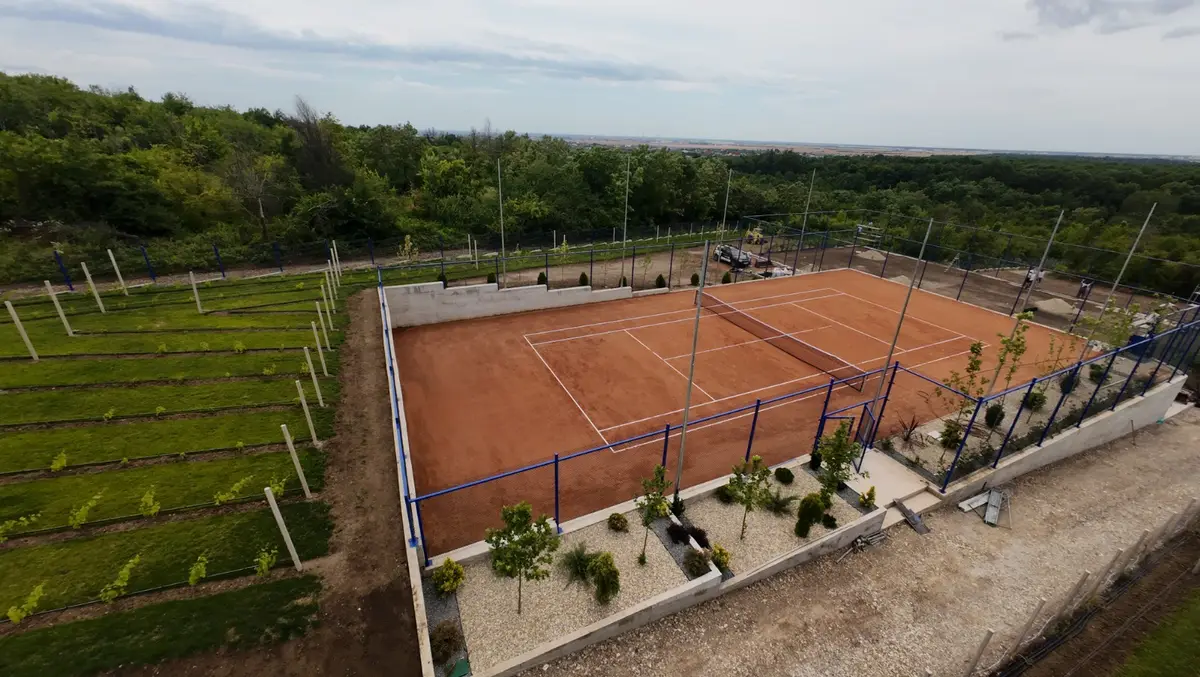 Gard Teren Tenis cu Plasa Impletita