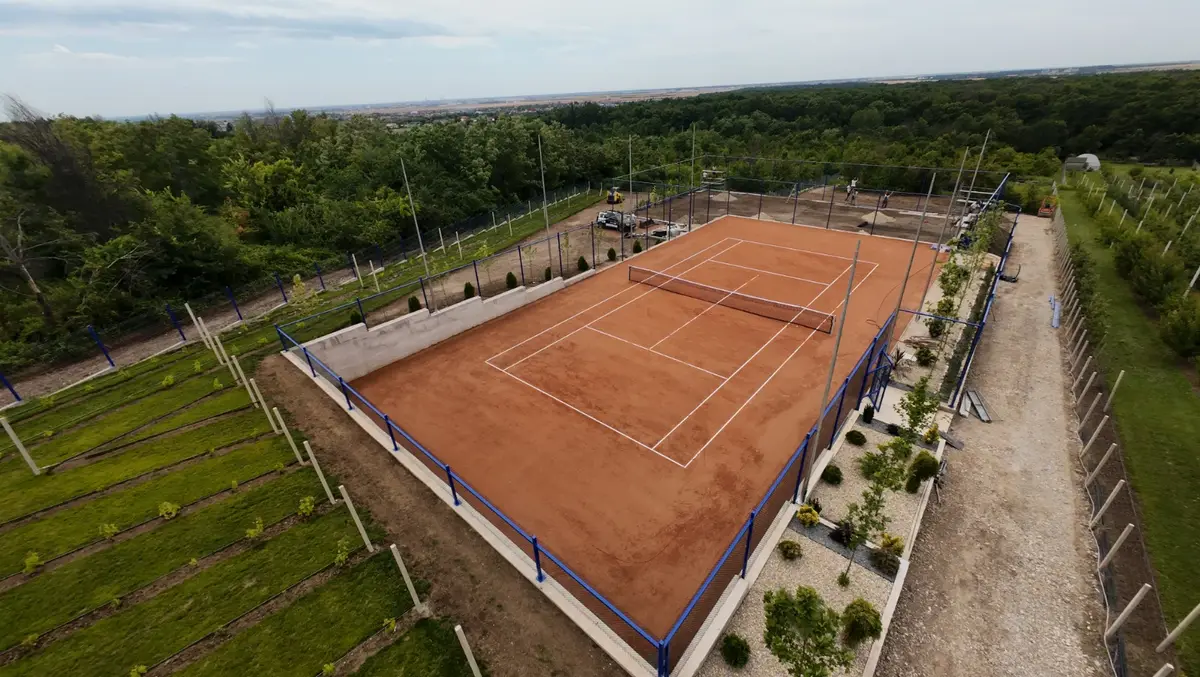 Gard Teren Tenis cu Plasa Impletita