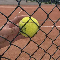 Gard Teren Tenis cu Plasa Impletita