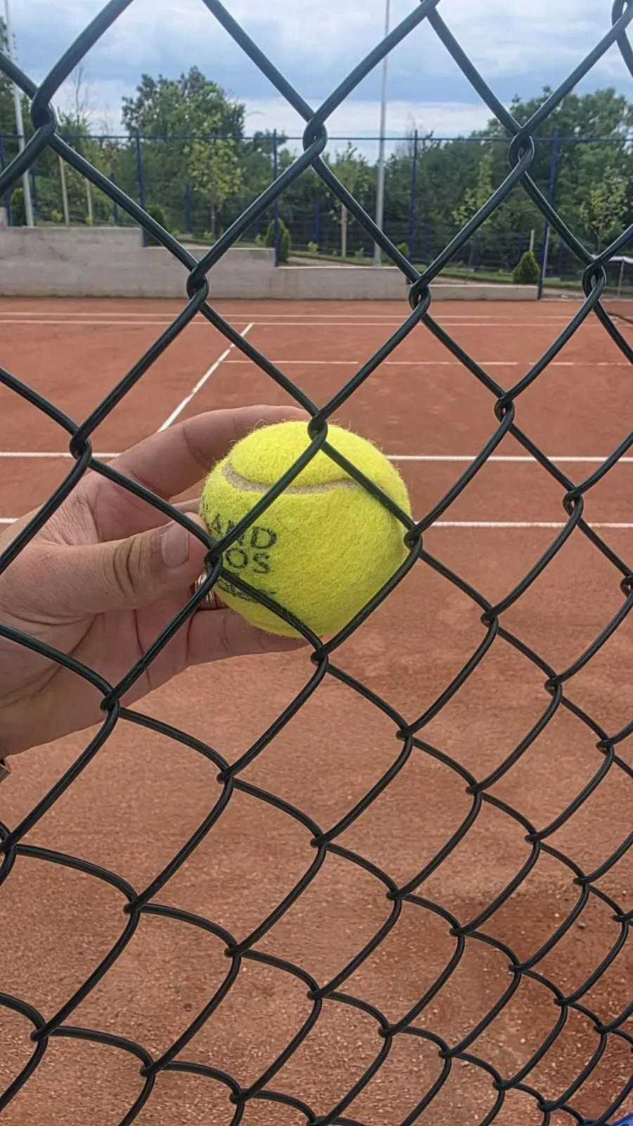 Gard Teren Tenis cu Plasa Impletita