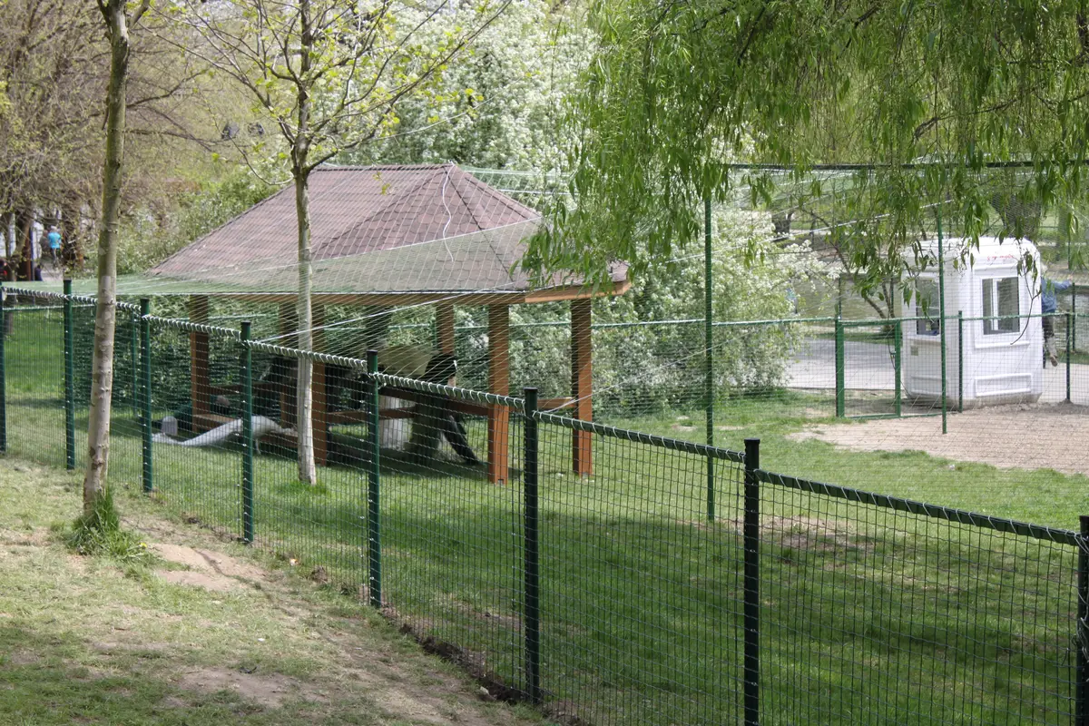 Gard Parc IOR Pasari si Rate