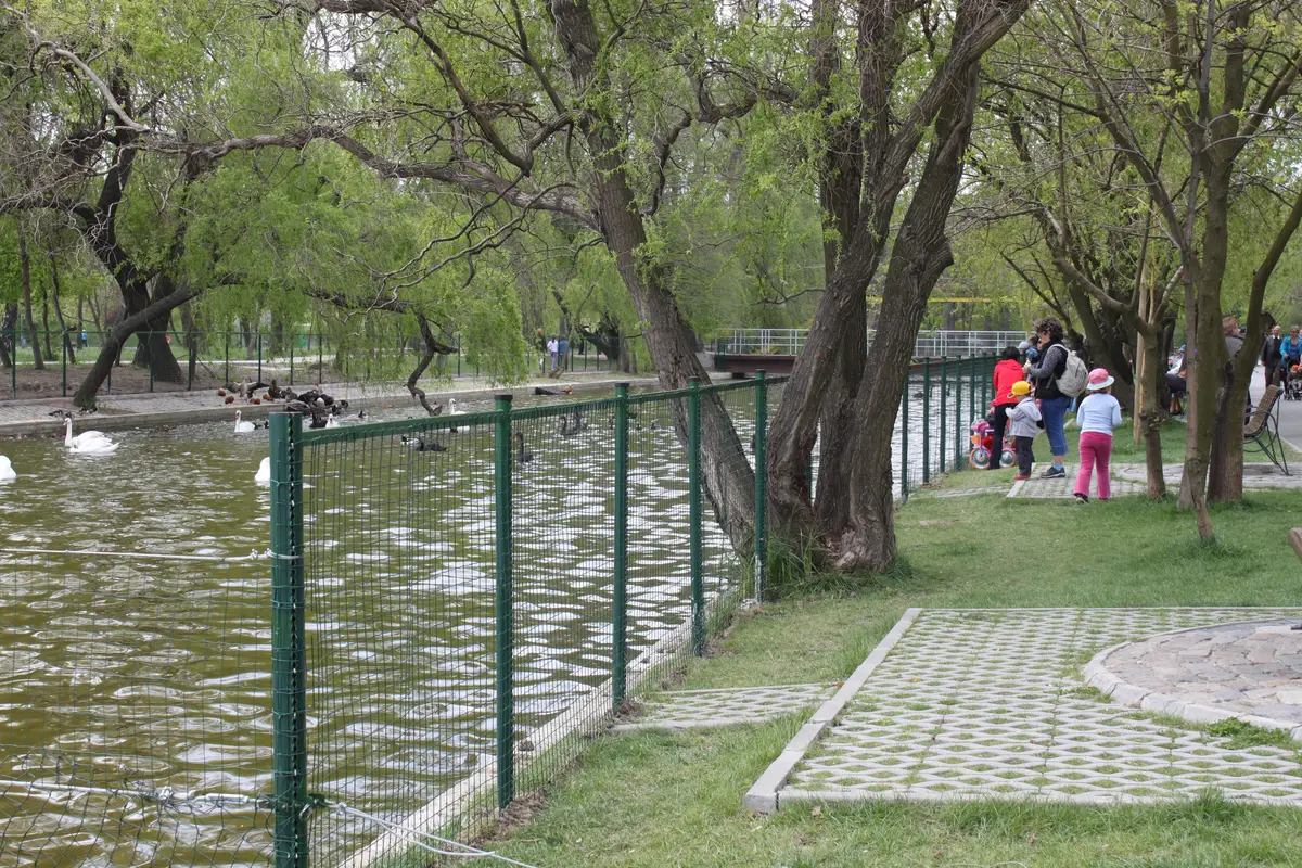Gard Parc IOR Pasari si Rate