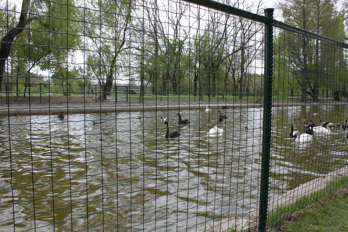 Gard Parc IOR Pasari si Rate