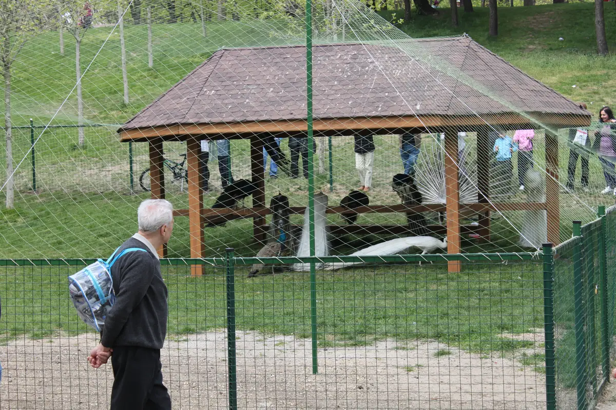 Gard Parc IOR Pasari si Rate