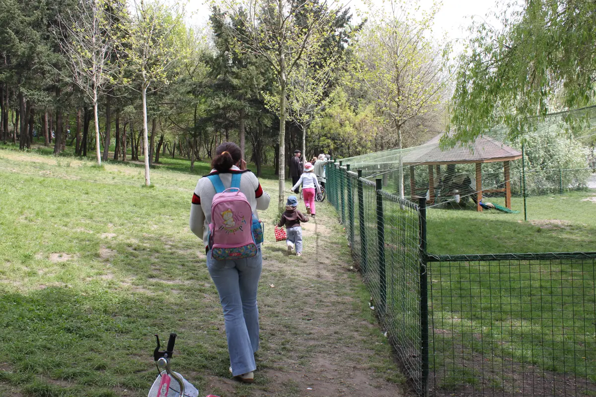Gard Parc IOR Pasari si Rate