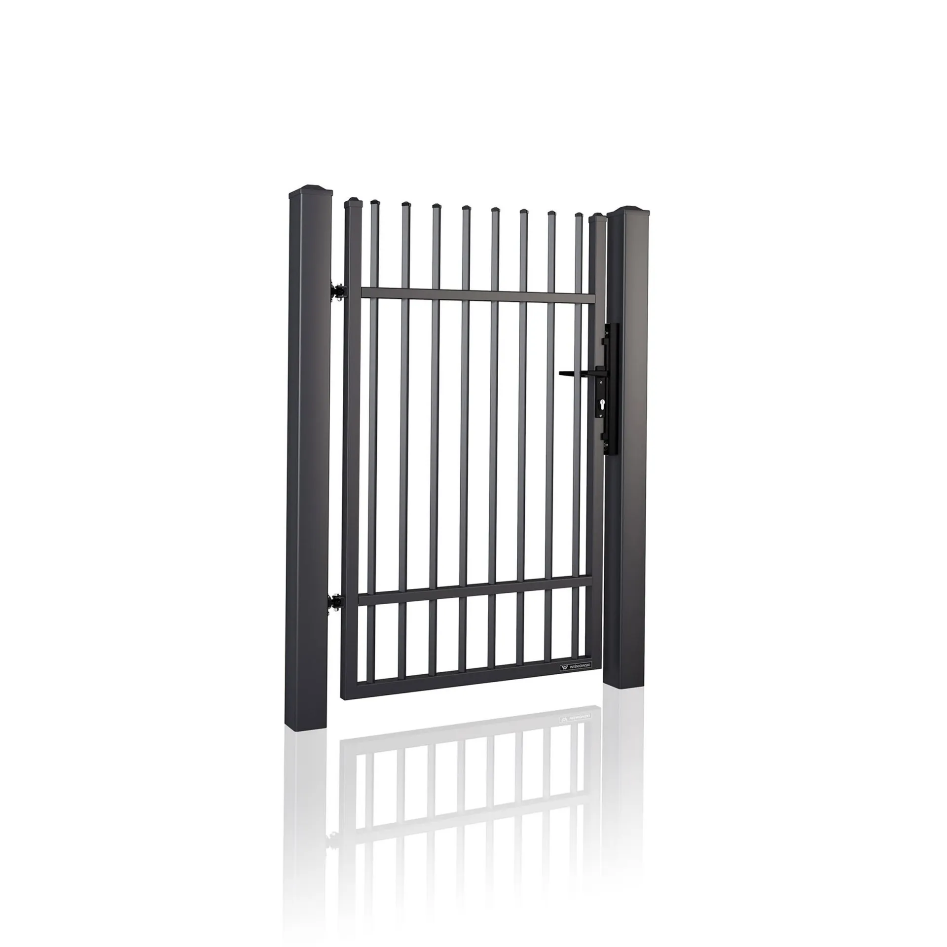 Pietonala Clasic 10 06